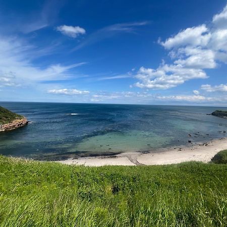 Berwick Holiday Park Haven ภายนอก รูปภาพ