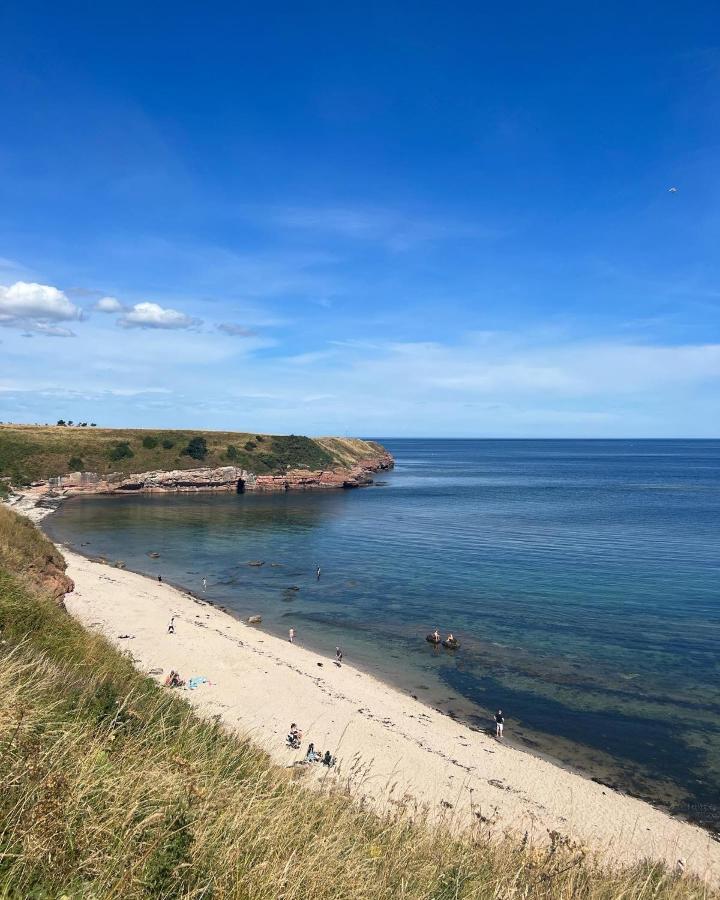 Berwick Holiday Park Haven ภายนอก รูปภาพ